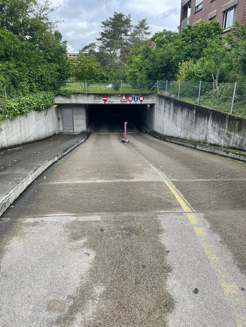 Freie Einstellplätze - Zollweiden (2)