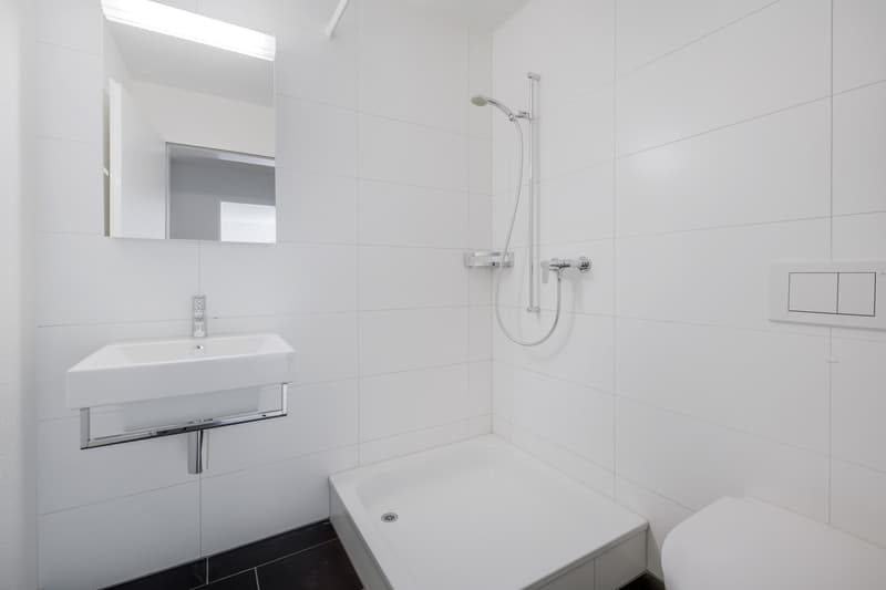 Grosszügige und moderne Wohnung in begrünter Umgebung! (11)