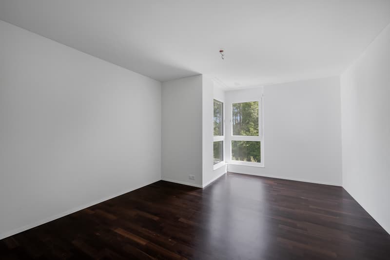 Grosszügige und moderne Wohnung in begrünter Umgebung! (6)