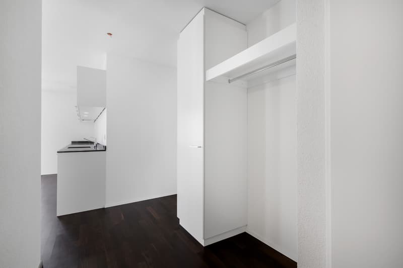 Grosszügige und moderne Wohnung in begrünter Umgebung! (9)