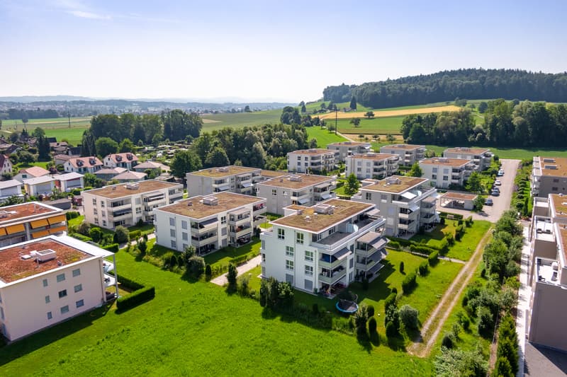Grosszügige und moderne Wohnung in begrünter Umgebung! (1)