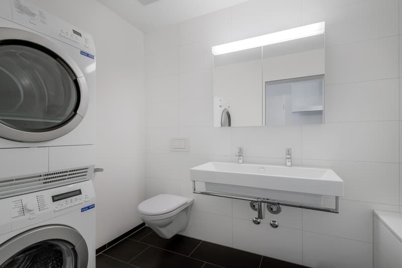 Grosszügige und moderne Wohnung in begrünter Umgebung! (12)