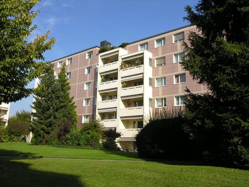 Familienfreundliche Überbauung im Grünen (2)