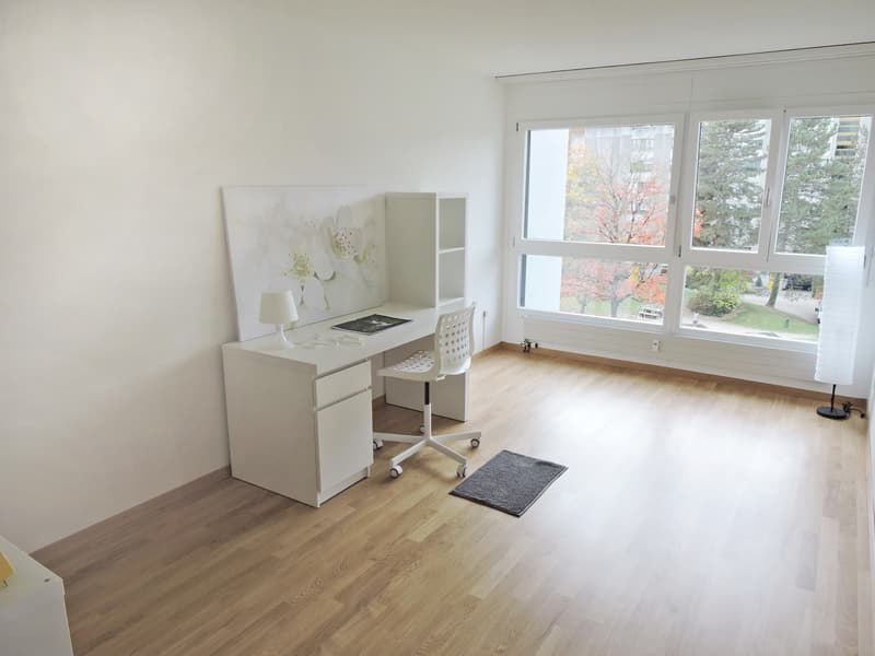 4.5-Zimmerwohnung an familienfreundlicher Lage! (4)