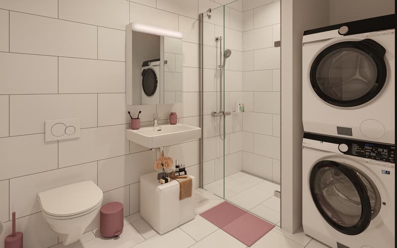 Traumwohnung im Henz-Areal! (5)