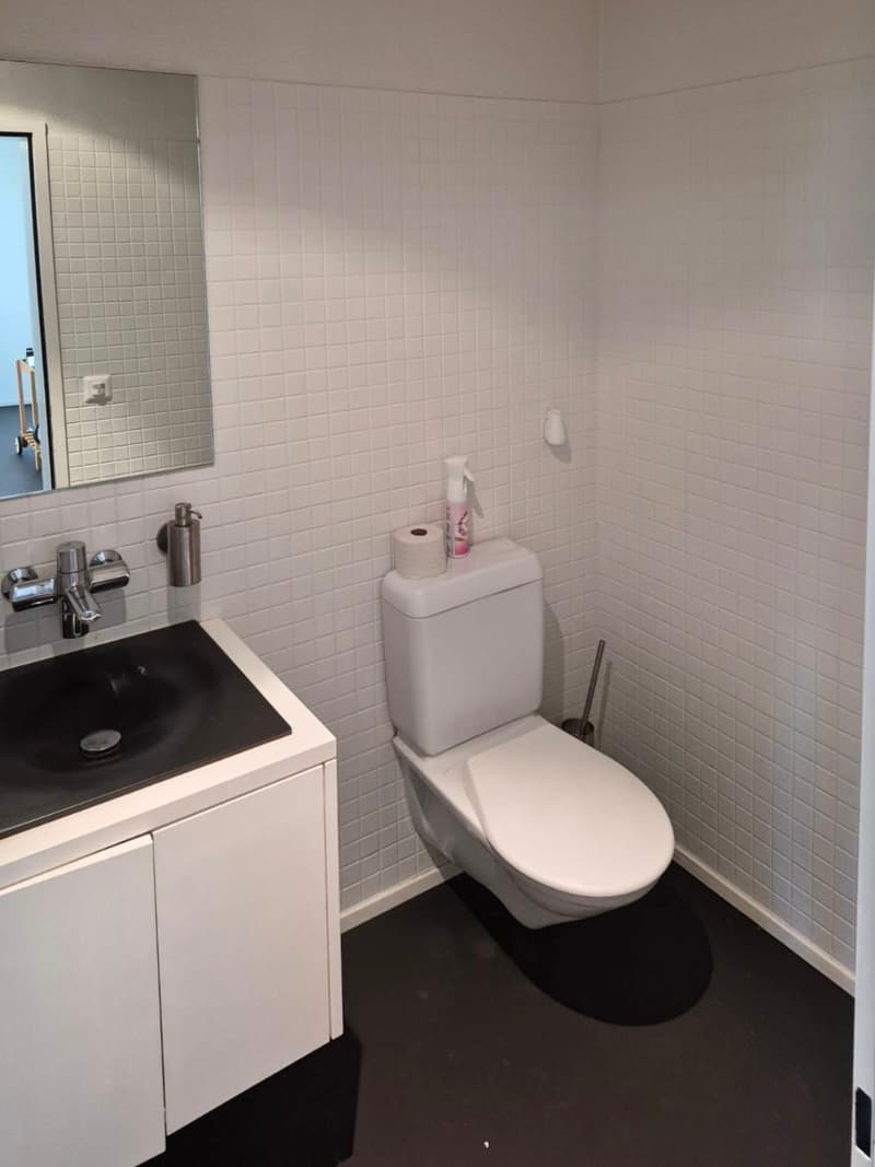 Gewerbefläche im Herzen von Horgen (10)