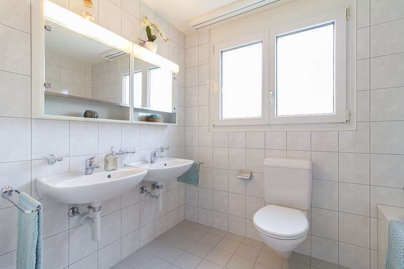 Heimelige Dachwohnung (3)