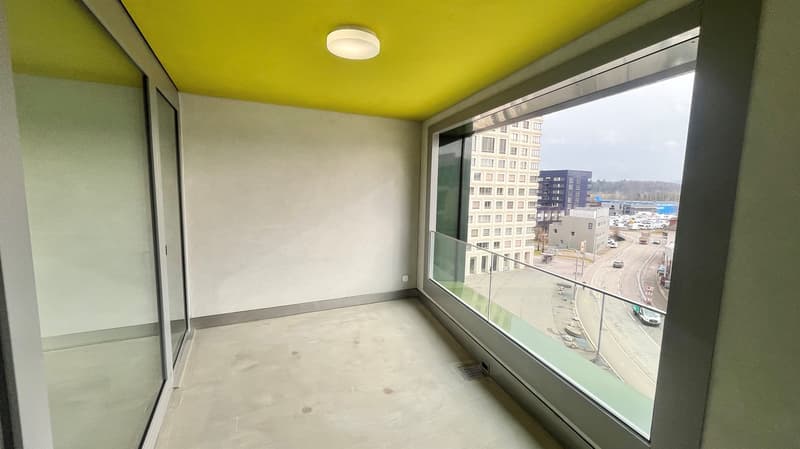 Moderne Wohnung in Schlieren (5)