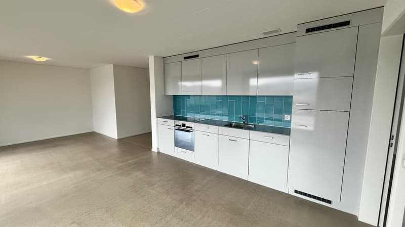 Moderne Wohnung in Schlieren (3)