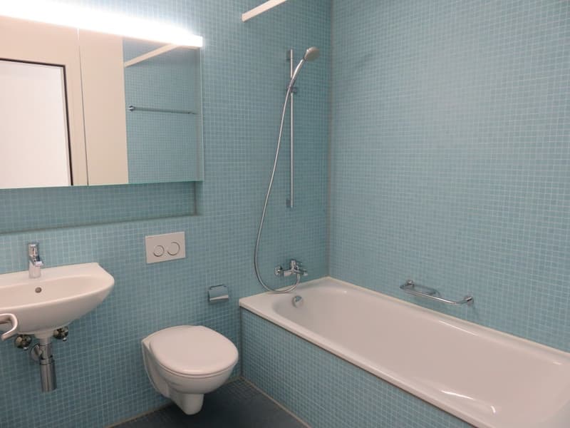 Moderne Wohnung in Schlieren (6)