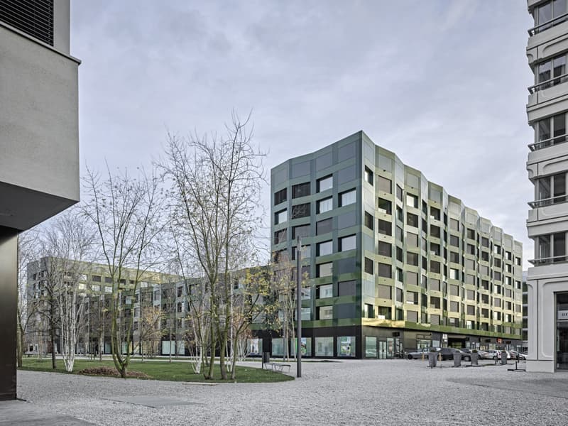 Moderne Wohnung in Schlieren (1)