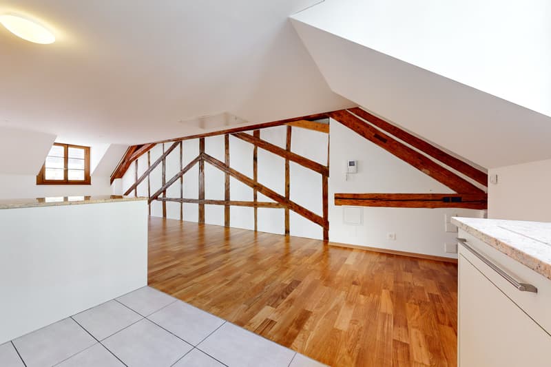 Logement au centre de Lausanne ! (2)