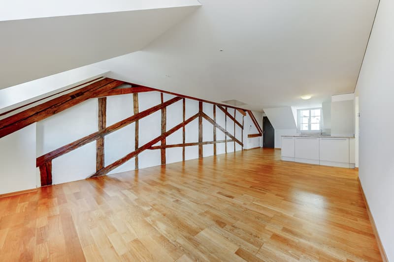 Logement au centre de Lausanne ! (4)