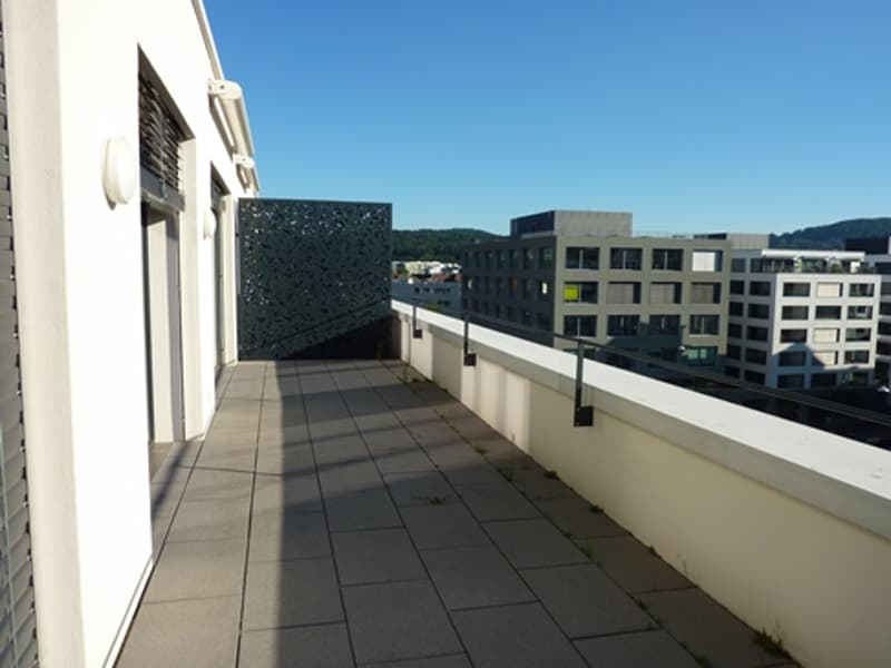 Schöne Wohnung im Quartier Limmatfeld (5)