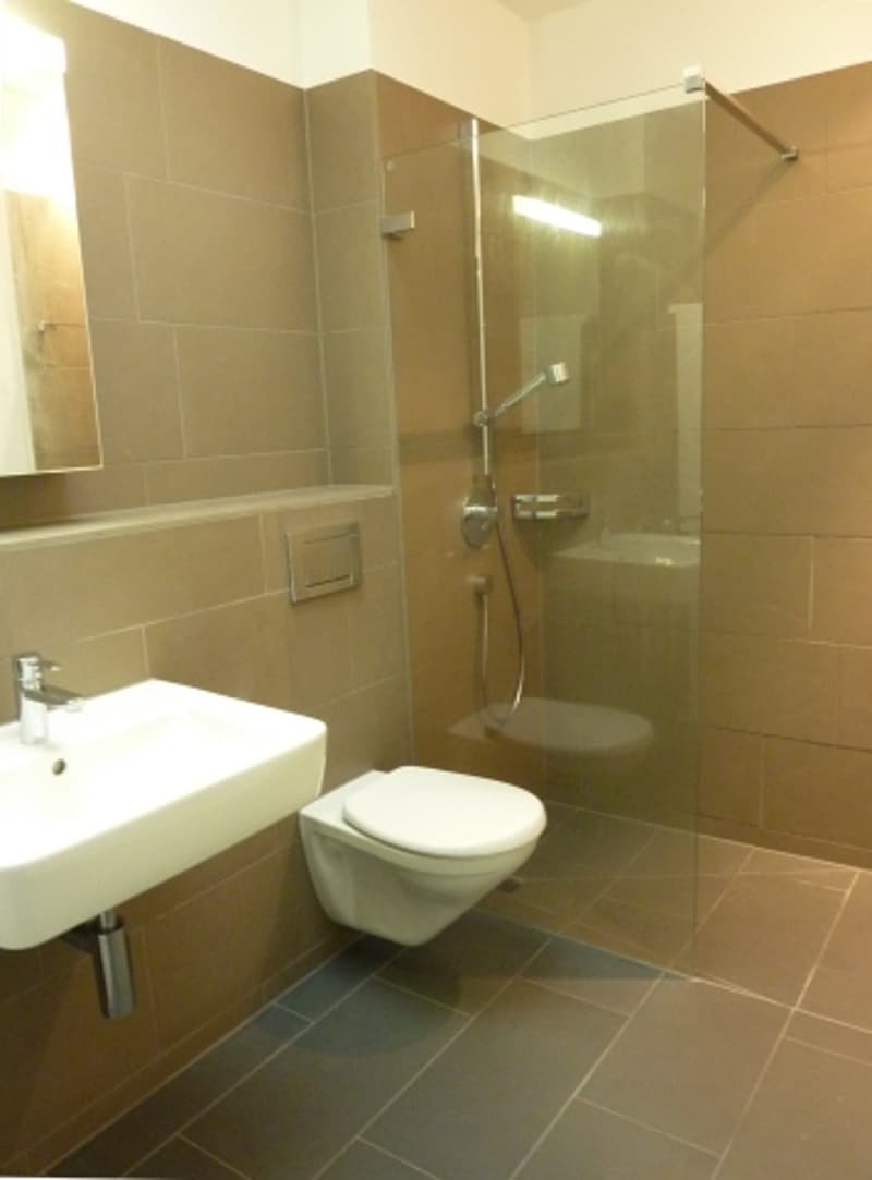 Schöne Wohnung im Quartier Limmatfeld (4)