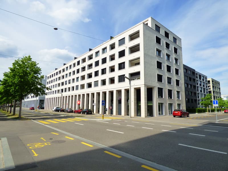 Schöne Wohnung im Quartier Limmatfeld (1)