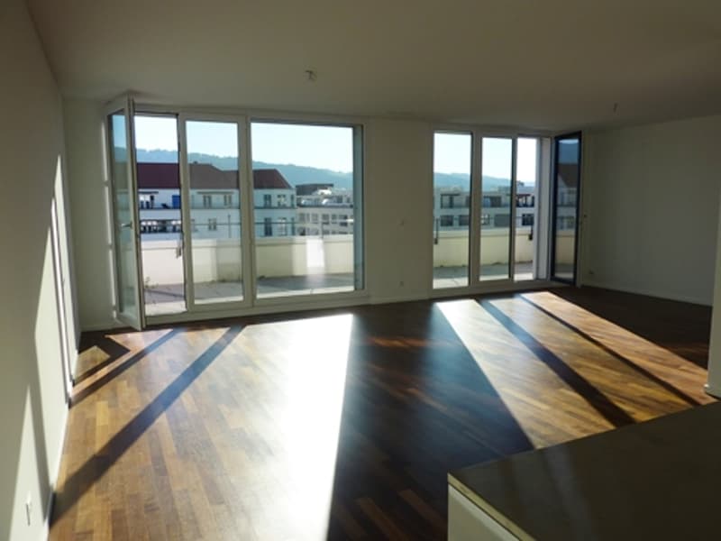 Schöne Wohnung im Quartier Limmatfeld (2)