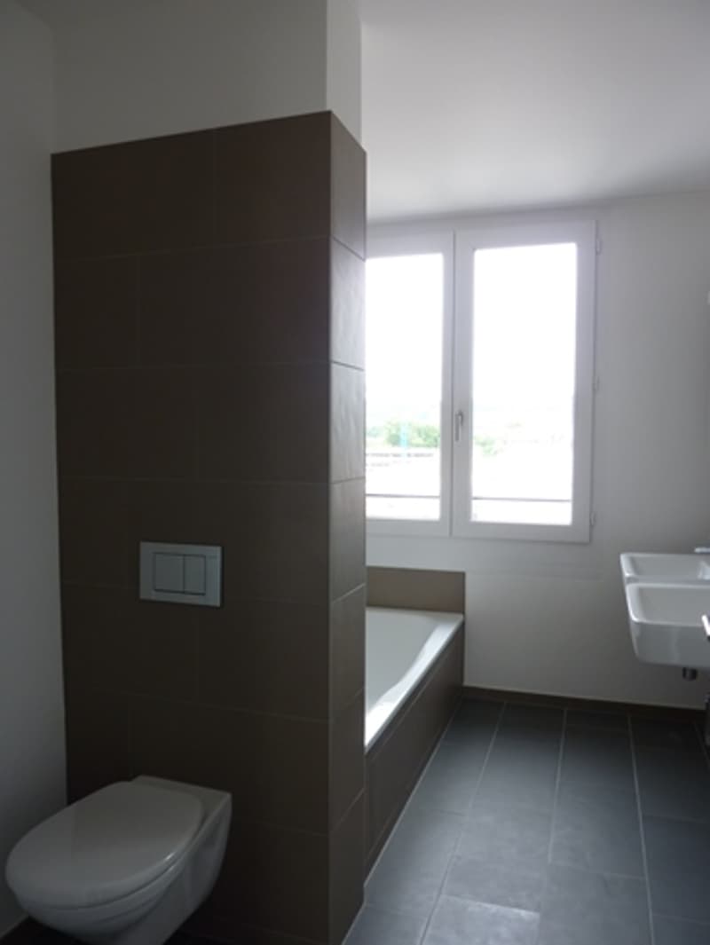Schöne Wohnung im Quartier Limmatfeld (6)