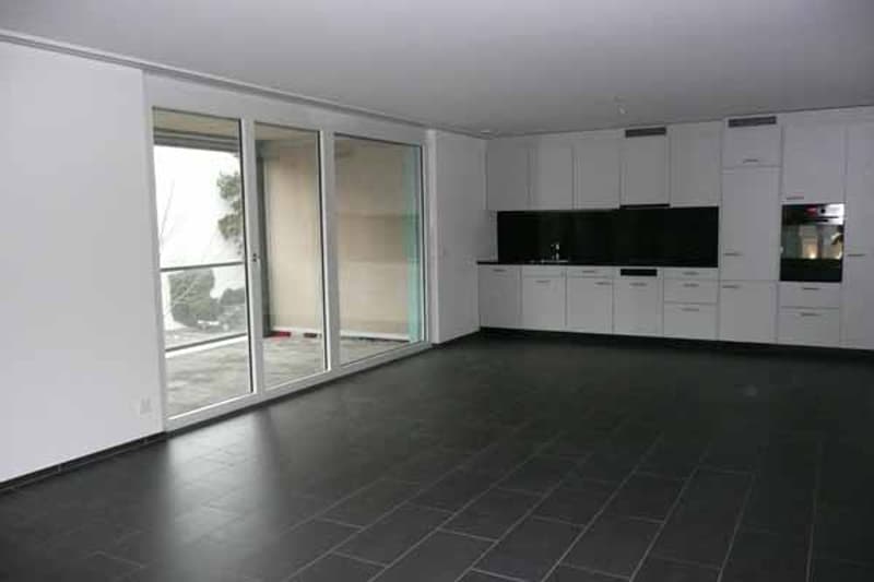 Grosszügige moderne Wohnung an zentraler Lage (2)