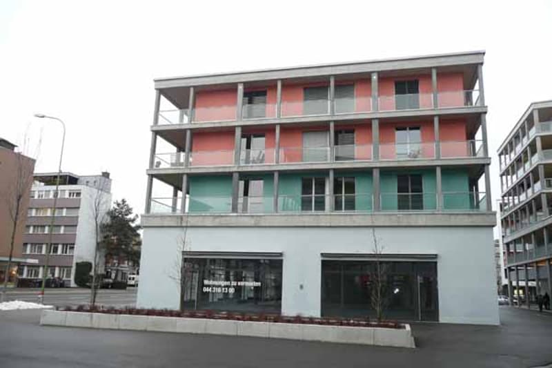 Grosszügige moderne Wohnung an zentraler Lage (1)