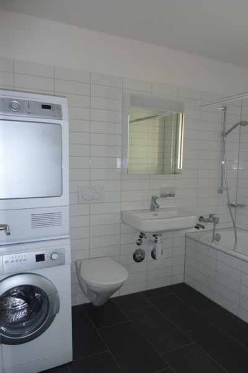Grosszügige moderne Wohnung an zentraler Lage (6)