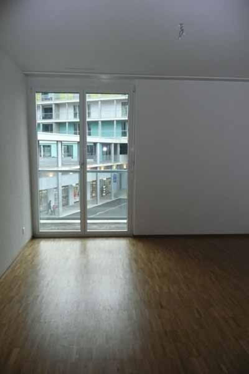Grosszügige moderne Wohnung an zentraler Lage (4)