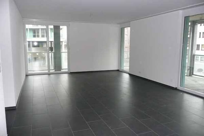 Grosszügige moderne Wohnung an zentraler Lage (3)