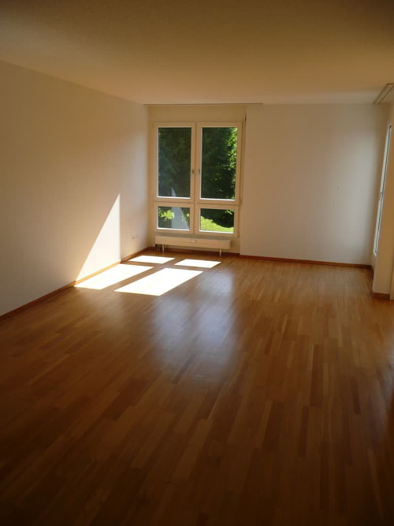 Wunderschöne Wohnung in grüner Umgebung befristet bis am 31.10.2027 (8)