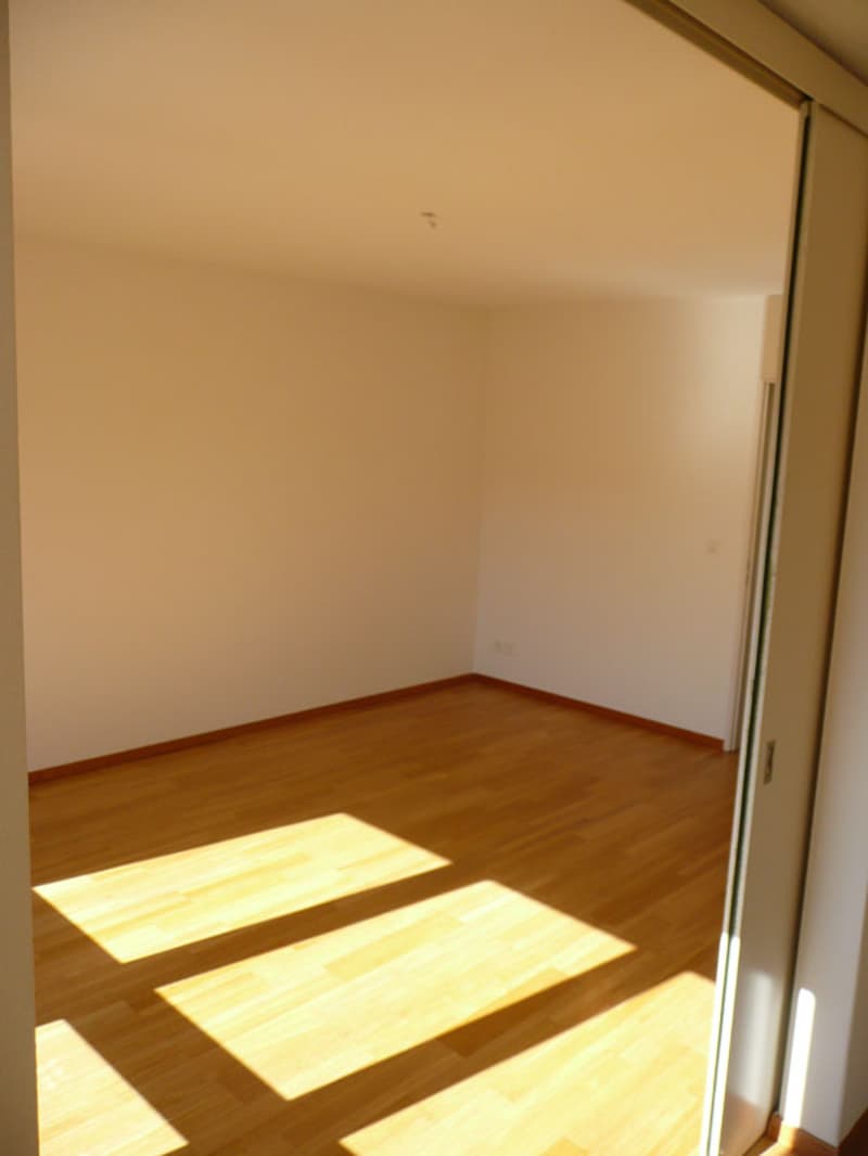Wunderschöne Wohnung in grüner Umgebung befristet bis am 31.10.2027 (6)