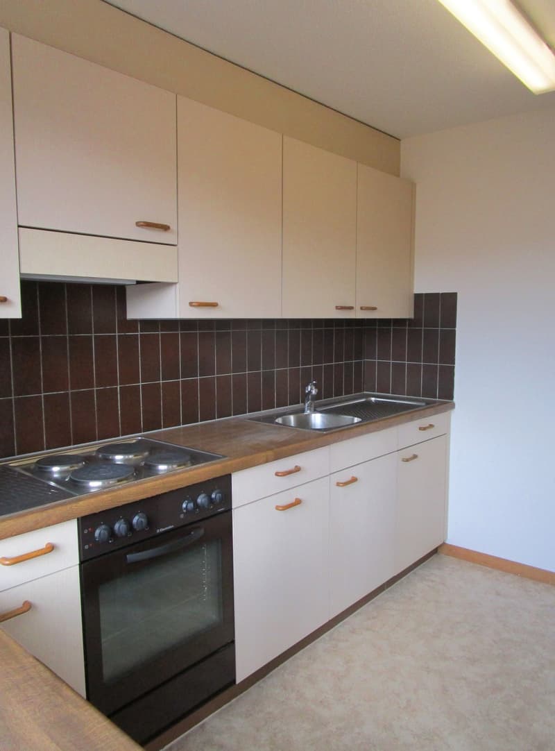 Wunderschöne Wohnung in grüner Umgebung befristet bis am 31.10.2027 (9)