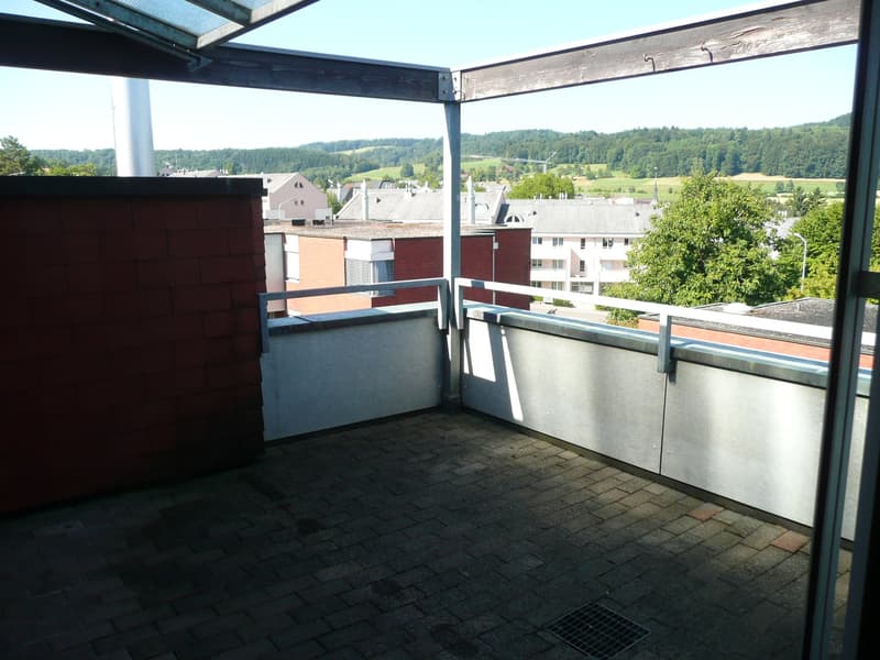 Wunderschöne Wohnung in grüner Umgebung befristet bis am 31.10.2027 (10)