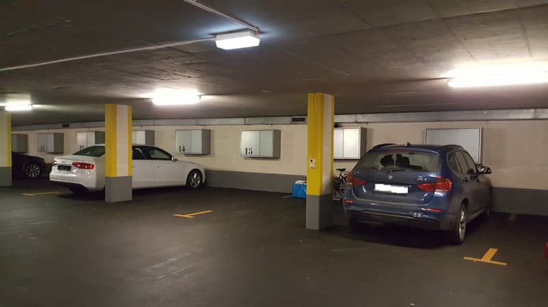 Schützender Garagenparkplatz für Ihr Auto gesucht? (3)