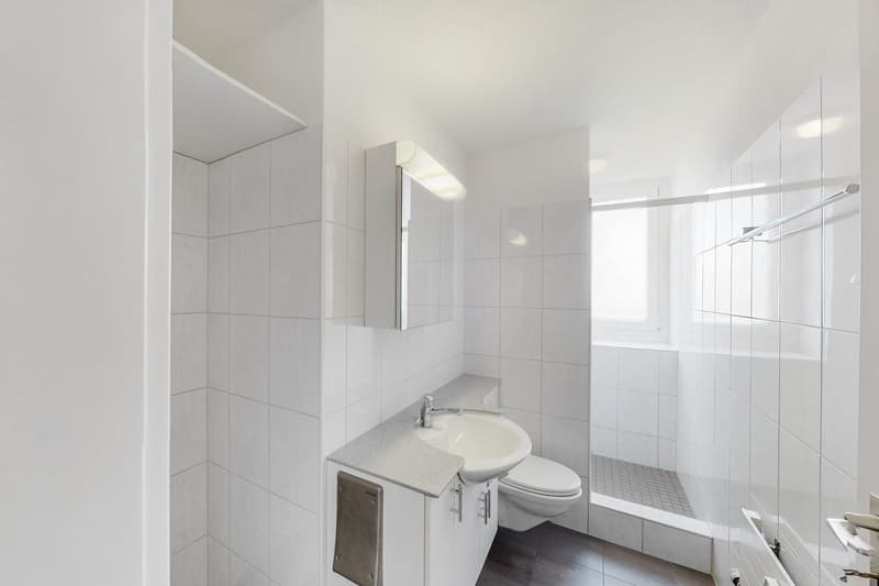 Ihr Zuhause im beliebten Schlössliquartier (3)