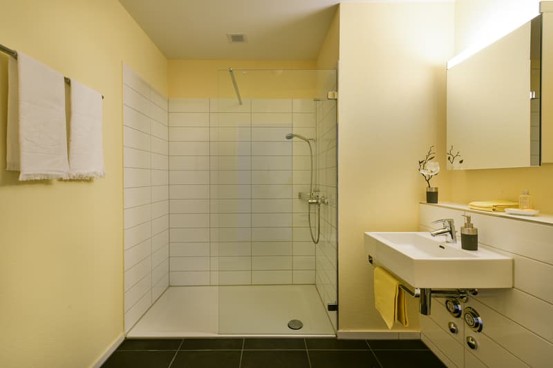 Moderne Wohnung mitten in Zürich (12)