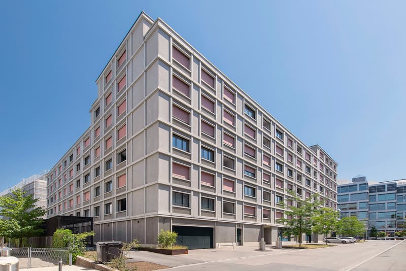 Auf der Suche nach einer zentralen und modernen Wohnung (1)
