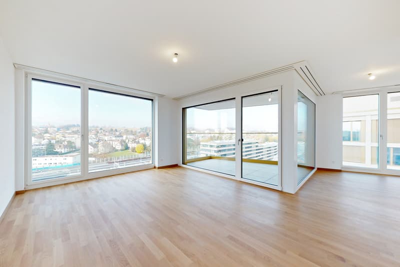 Bel appartement au coeur de Morges (2)