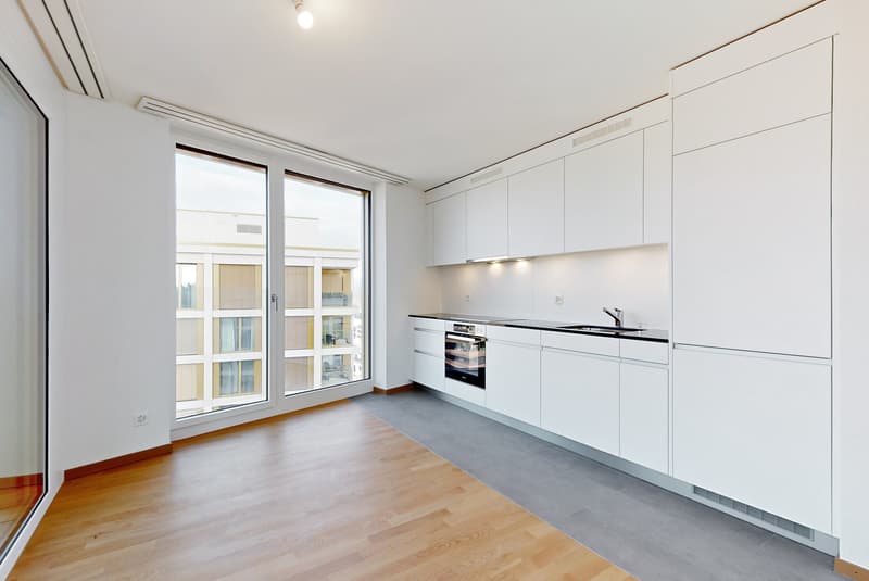 Bel appartement au coeur de Morges (3)
