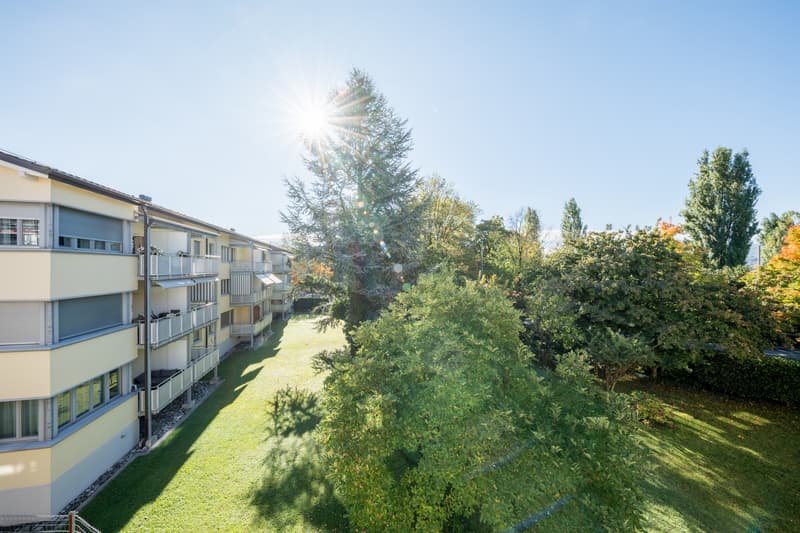 Vis à vis vom Zürisee - Ab in das kühle Nass! (2)