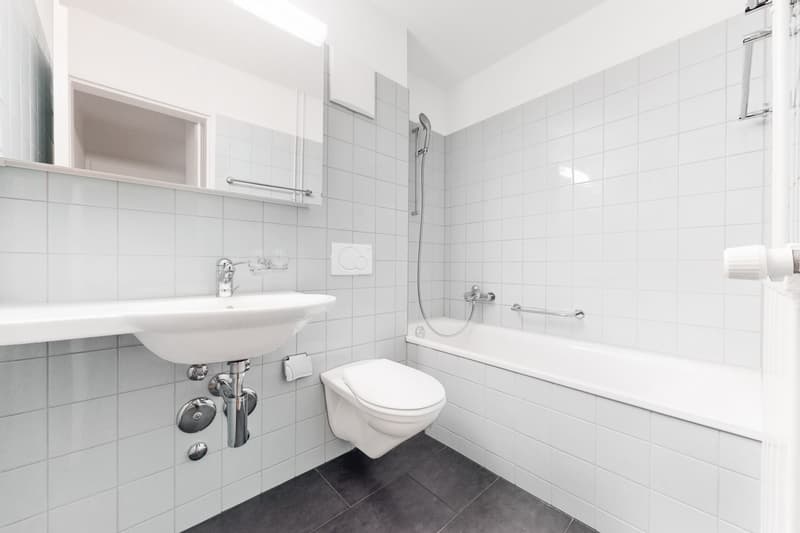 Leben in der drittgrössten Stadt im Kanton Zürich (7)
