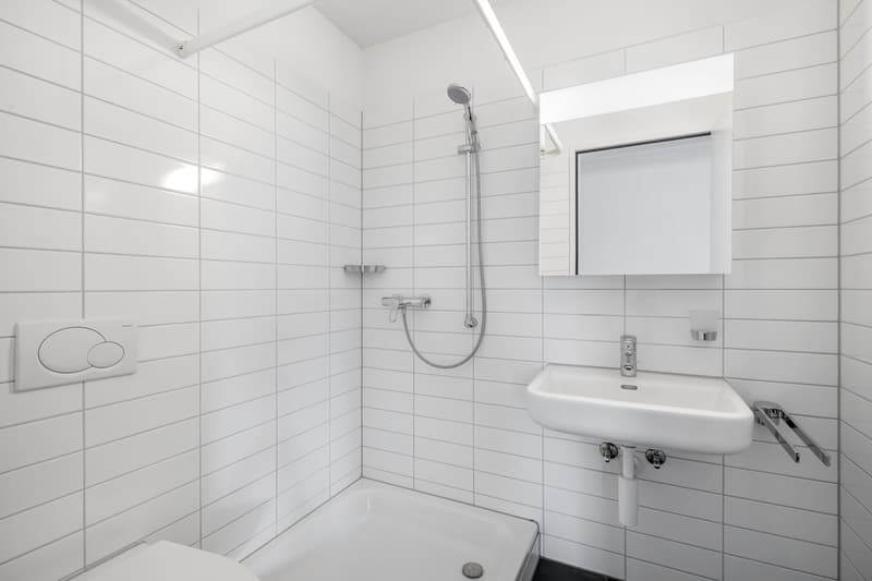 Moderne Wohnung an zentraler Lage (4)