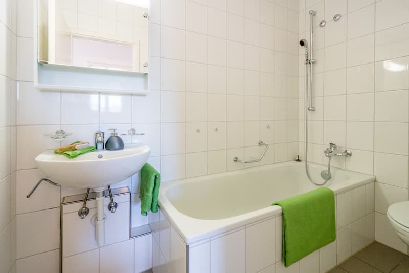 Ideale Singlewohnung an ruhiger Wohnlage (3)