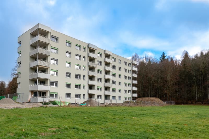 Votre logement à Bulle ! (1)