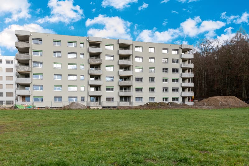 Votre logement à Bulle ! (2)