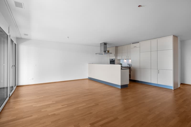 Geniale Attikawohnung: Träume - Traumwohnung - Traumaussicht (5)