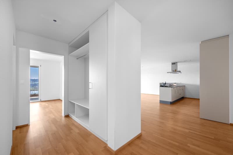 Geniale Attikawohnung: Träume - Traumwohnung - Traumaussicht (9)