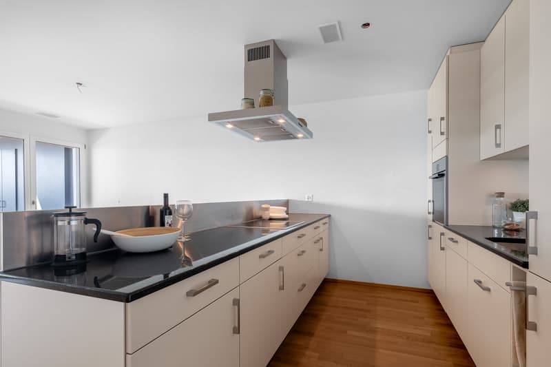 Geniale Attikawohnung: Träume - Traumwohnung - Traumaussicht (6)