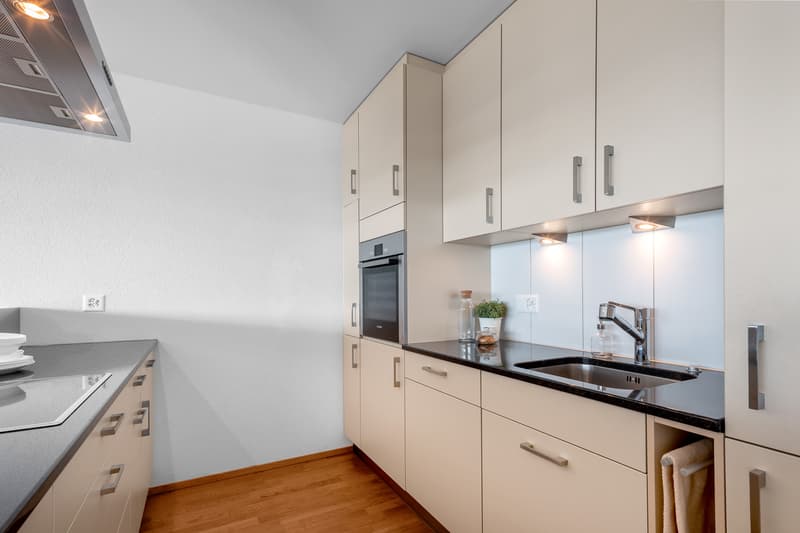Geniale Attikawohnung: Träume - Traumwohnung - Traumaussicht (4)
