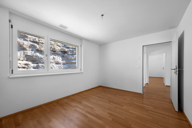 Geniale Attikawohnung: Träume - Traumwohnung - Traumaussicht (10)
