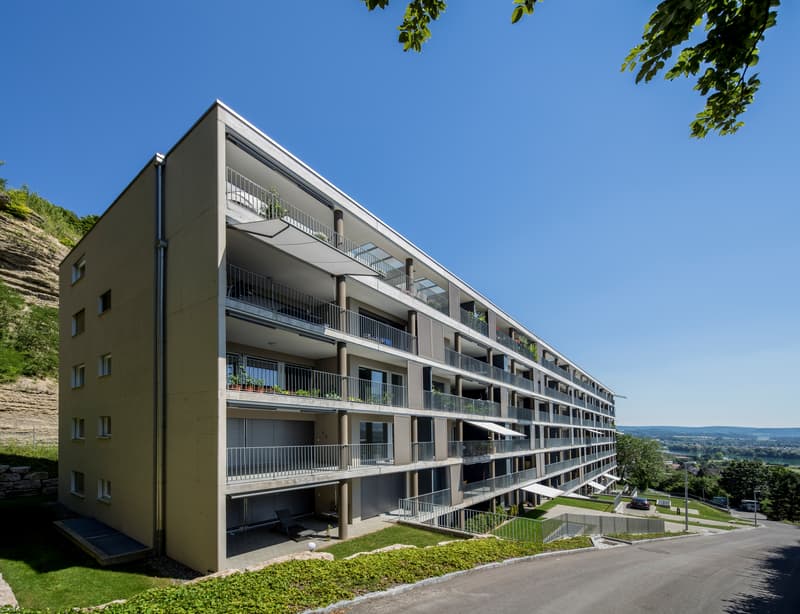Geniale Attikawohnung: Träume - Traumwohnung - Traumaussicht (1)