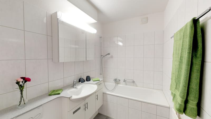 Naturnahes Wohnen über der Stadt St. Gallen (4)